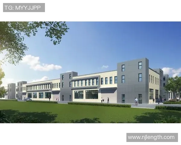 以体球为核心，探索现代体育文化的传承与创新发展之路